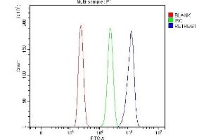 Flow Cytometry analysis of HL-60 cells using anti-RETREG1 antibody (ABIN7599962). (FAM134B Antikörper  (AA 131-446))