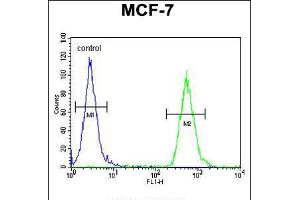 Flow cytometric analysis of MCF-7 cells (right histogram) compared to a negative control cell (left histogram). (TTPAL Antikörper  (C-Term))