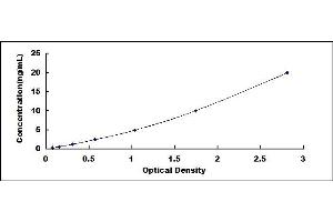 Typical standard curve (Occludin ELISA Kit)