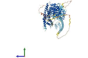 Protein Structure (PS) image for Dishevelled Associated Activator of Morphogenesis 1 (DAAM1) (AA 1-1078) protein (His tag) (ABIN7553620)