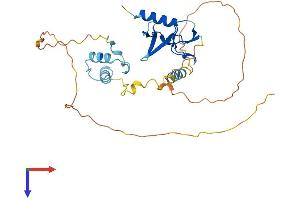 DPPA4 Protein (AA 1-304) (His tag)