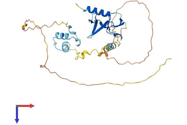 DPPA4 Protein (AA 1-304) (His tag)