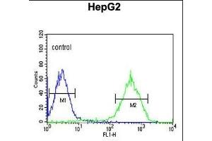 NDUFA10 Antibody (Center) (ABIN653725 and ABIN2843032) flow cytometric analysis of HepG2 cells (right histogram) compared to a negative control cell (left histogram). (NDUFA10 Antikörper  (AA 252-281))