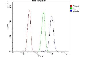 Flow Cytometry analysis of A431 cells using anti-Calretinin/CALB2 antibody (ABIN7602106).