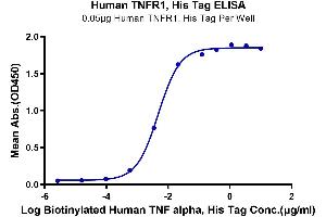 ELISA image for Tumor Necrosis Factor Receptor Superfamily, Member 1A (TNFRSF1A) (AA 30-211) protein (His tag) (ABIN7275759)