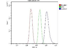 Flow Cytometry analysis of HEPA1-6 cells using anti-Sumo 1/SUMO1 antibody (ABIN7603002). (SUMO1 Antikörper  (Middle Region))
