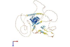 YTHDC1 Protein (AA 1-727) (His tag)