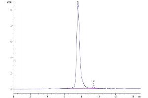 Size-exclusion chromatography-High Pressure Liquid Chromatography (SEC-HPLC) image for Fibroblast Growth Factor 21 (FGF21) (AA 29-209) protein (His tag) (ABIN7274610)