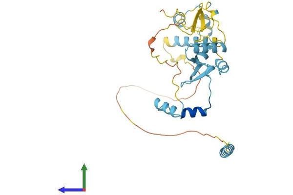 GTF2E2 Protein (AA 1-291) (His tag)