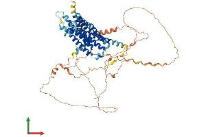 AlphaFold protein structure predicition of Human Recombinant GPR153 Protein, UniprotID Q6NV75
