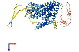 SLC1A7 Protein (AA 1-560) (His tag)
