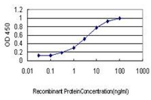 Detection limit for recombinant GST tagged IL20 is approximately 0. (IL-20 Antikörper  (AA 67-176))