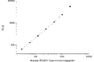 Typical standard curve (FOXO1 CLIA Kit)