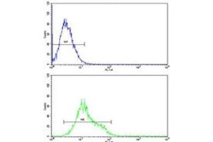 Flow Cytometry (FACS) image for anti-Unc-51 Like Kinase 1 (ULK1) antibody (ABIN3029449)