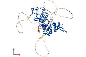 Protein Structure (PS) image for Dual-Specificity tyrosine-(Y)-phosphorylation Regulated Kinase 2 (DYRK2) (AA 1-599) protein (His tag) (ABIN7563856)