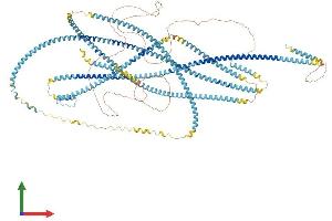 Protein Structure (PS) image for Kinectin 1 (Kinesin Receptor) (KTN1) (AA 1-1327) protein (His tag) (ABIN7563923)