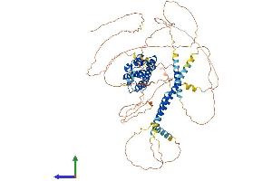 Protein Structure (PS) image for Prospero Homeobox 1 (PROX1) (AA 1-737) protein (His tag) (ABIN7563316)