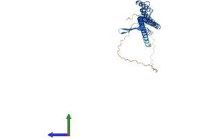 Protein Structure (PS) image for Dynein, Axonemal, Light Intermediate Chain 1 (DNALI1) (AA 1-258) protein (His tag) (ABIN7548444)