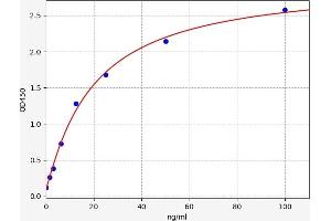 Typical standard curve (Prostaglandin E Synthase ELISA Kit)