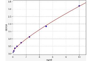 S100 Calcium Binding Protein A6 (S100A6) ELISA Kit