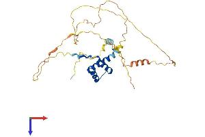 PITX3 Protein (AA 1-302) (His tag)