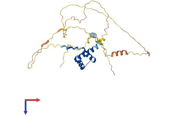 PITX3 Protein (AA 1-302) (His tag)