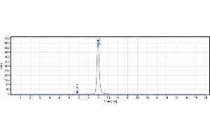 The purity of Anti-IL-1b Reference Antibody (gevokizumab) is 98. (Rekombinanter IL1B (Gevokizumab Biosimilar) Antikörper)