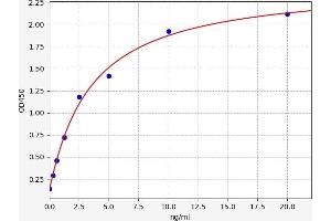 SCARB1 ELISA Kit