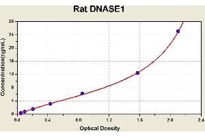 Diagramm of the ELISA kit to detect Rat DNASE1with the optical density on the x-axis and the concentration on the y-axis.