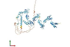 AlphaFold protein structure predicition of Human Recombinant ZNF490 Protein, UniprotID Q9ULM2