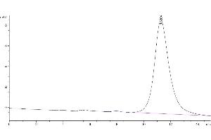 The purity of Mouse IL-17RB is greater than 95 % as determined by SEC-HPLC.