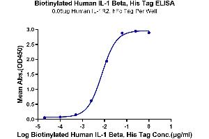 ELISA image for Interleukin 1, beta (IL1B) (AA 117-269) protein (His-Avi Tag,Biotin) (ABIN7274883)