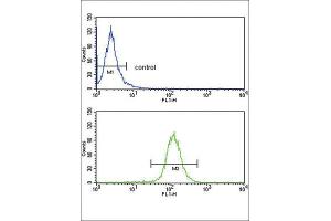 Flow Cytometry (FACS) image for anti-ATP-Binding Cassette, Sub-Family G (WHITE), Member 1 (ABCG1) antibody (ABIN3002669) (ABCG1 Antikörper)