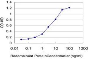 Detection limit for recombinant GST tagged IL8 is approximately 0. (IL-8 Antikörper  (AA 21-99))