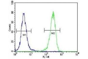 AQP11 antibody flow cytometric analysis of 293 cells (green) compared to a negative control (blue).