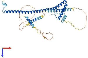 SURF6 Protein (AA 1-355) (His tag)
