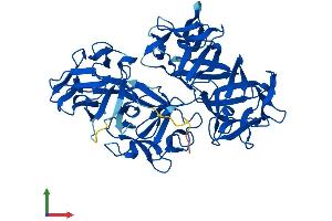 Protein Structure (PS) image for Fascin 2 (FSCN2) (AA 1-492) protein (His tag) (ABIN7557021)
