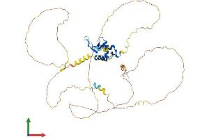 Protein Structure (PS) image for Forkhead Box A2 (FOXA2) (AA 1-457) protein (His tag) (ABIN7553977)