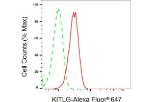 Flow cytometric analysis of KITLG expression in C2C12 cells using KITLG antibody (ABIN7799212), 1:2,000). (KIT Ligand Antikörper)