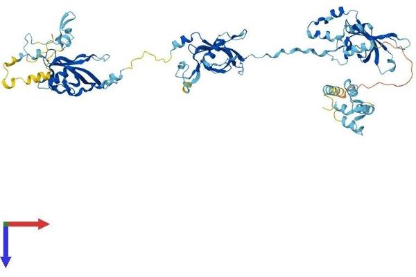 EFHC1 Protein (AA 1-648) (His tag)