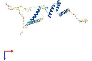 EIF3S1 Protein (AA 1-261) (His tag)