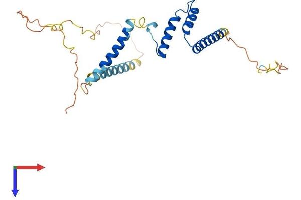 EIF3S1 Protein (AA 1-261) (His tag)