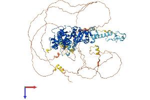 GEN1 Protein (AA 1-908) (His tag)
