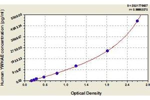 Typical Standard Curve (YWHAE ELISA Kit)