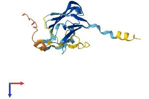 HSPB2 Protein (AA 1-182) (His tag)