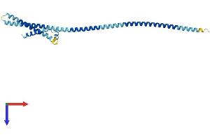 BCAP29 Protein (AA 1-241) (His tag)