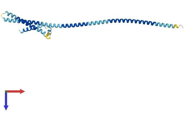 BCAP29 Protein (AA 1-241) (His tag)