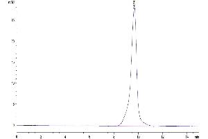The purity of Human IL-15RA&IL-15 is greater than 95 % as determined by SEC-HPLC.
