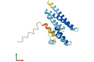 Protein Structure (PS) image for Leucine Zipper and CTNNBIP1 Domain Containing (LZIC) (AA 1-190) protein (His tag) (ABIN7559546)