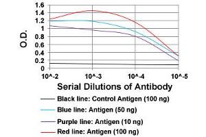 ELISA analysis of TIE1 monoclonal antibody, clone 8D12D2  at 1:10000 dilution. (TIE1 Antikörper  (AA 385-607))